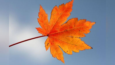 Изрображение 'ИЗМЕНИТСЯ ЛИ ПОГОДА В УЗБЕКИСТАНЕ: ПРОГНОЗ СИНОПТИКОВ'