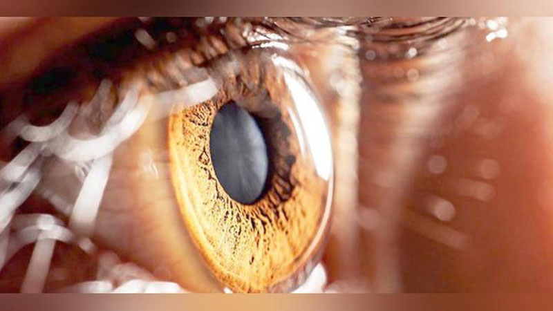 '100 FOIZ  KAFOLATLI IXTIRO'ning rasmi