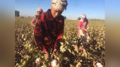 'Fermerlarning paxta hosili pullari berilmayotganligi holati yuzasidan rasmiy bayonot berildi'ning rasmi