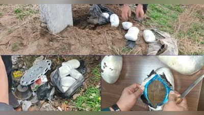 Изрображение 'В Ташкентской области изъята крупная партия гашиша (видео)'