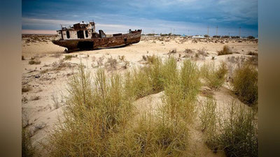 'Rivojlangan davlatlarga Orolning qurigan hududida o`rmon yaratish taklif qilinmoqda'ning rasmi