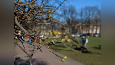 'Bugun, bahorning ilk kunida ob-havo qanday bo`ladi?'ning rasmi