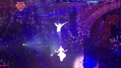 Изрображение 'Посольство Узбекистана в странах Бенилюкс окажет помощь пострадавшим гимнастам'