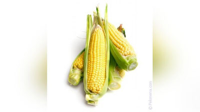 'PANKREATITDA TAVSIYa'ning rasmi