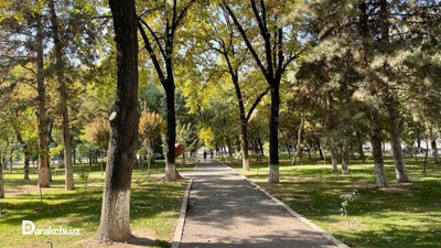 '14 oktyabr kuni harorat 30 darajaga ko`tariladi - “O`zgidromet”'ning rasmi