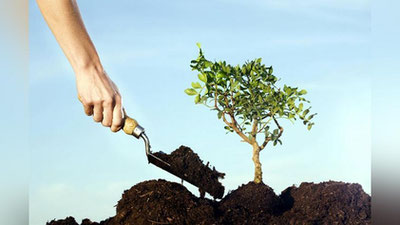 'Манзарали дарахтлар кўргазмасида тақдим этилган ҳеч бир дарахт кўчати мажбуран сотилаётгани йўқ — Тошкент шаҳар ҳокимлиги'ning rasmi