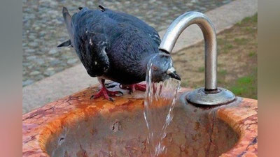 'Дам олиш кунлари жуда иссиқ бўлади — "Ўзгидромет"'ning rasmi