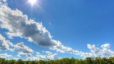 'O`zbekistonda 16 mart kuni harorat 28 darajagacha ko`tariladi'ning rasmi