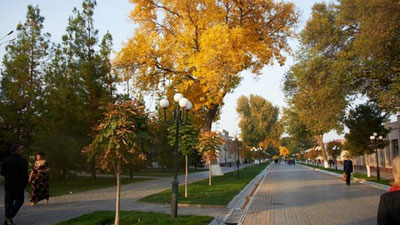 'Bugun O`zbekistonda qanday ob-havo kuzatiladi?'ning rasmi