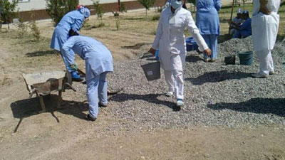 'Toshkent viloyatida shifokorlarni majburan ko`cha tozalashga chiqargan poliklinika rahbari jarimaga tortildi'ning rasmi