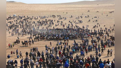 'Surxondaryoda katta uloq-ko`pkari musobaqasi bo`lib o`tdi'ning rasmi