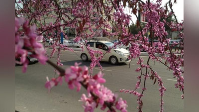 Изрображение 'Сколько дней отдохнут узбекистанцы в марте?'