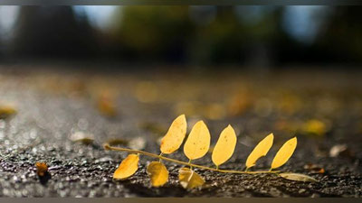 'Bugun O`zbekistonda havo harorati pasayib, ayrim hududlarda shamol tezligi kuchayadi'ning rasmi