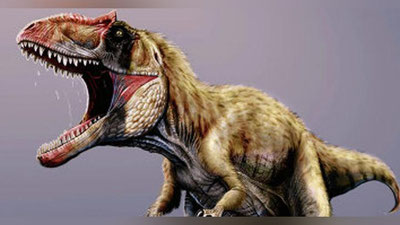 'АҚШда янги туғилган тираннозавр топилди (видео)'ning rasmi