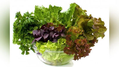 '​КЎКАТЛАРНИ ТЎҒРИ САҚЛАШ ВА ФОЙДАЛАНИШНИ ЎРГАНАМИЗ!'ning rasmi