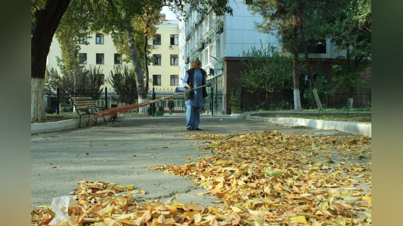 'O`zbekistonda dam olish kunlari kutilayotgan ob-havo ma`lumoti e`lon qilindi'ning rasmi