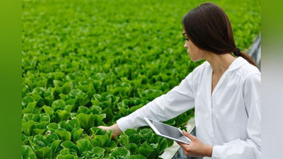 'Халқаро қишлоқ хўжалиги университети ташкил қилинди'ning rasmi