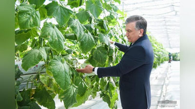 Изрображение 'Видео: Первый день поездки главы государства по Хорезму'