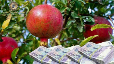 'Quvada anorni sotib olib, pulini bermagan shaxs qo`lga olindi'ning rasmi