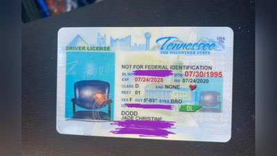 Изрображение 'Американке выдали права с фотографией стула'