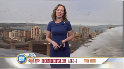 Изрображение 'КУРЬЕЗ В ЭФИРЕ: ГИГАНТСКАЯ ЧАЙКА СОРВАЛА ПРОГНОЗ ПОГОДЫ (ВИДЕО)'