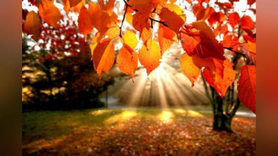 'Ertaga O`zbekistonda qanday ob-havo kuzatiladi? "O`zgidromet" ma`lumot berdi'ning rasmi