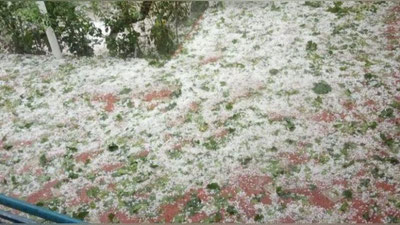 'Namanganda kuchli do`l yog`ib, sel keldi. Qidiruv-qutqaruv ishlari olib borilmoqda (video)'ning rasmi