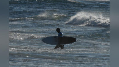 '11 килограмм оғирликдаги олабуға сёрфинг тахтасига сакраб чиқиб олди'ning rasmi
