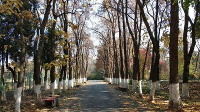 Изрображение 'КАКАЯ ПОГОДА НАС ЖДЕТ 5 ДЕКАБРЯ?'