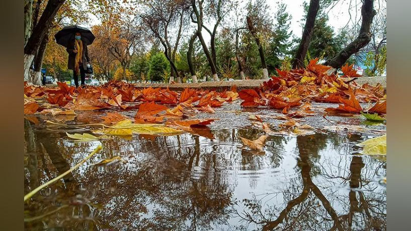 'O`zbekistonda harorat 5 darajagacha pasayib, ba`zi joylarda qor yog`adi — "O`zgidromet"'ning rasmi