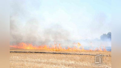 'Jizzaxda g`allasi o`rib olingan maydonlarga o`t qo`yib yuborilmoqda'ning rasmi