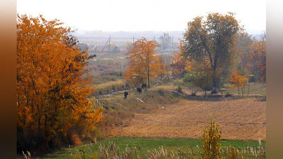 'Bugun havo iliqligicha saqlanib qoladi'ning rasmi