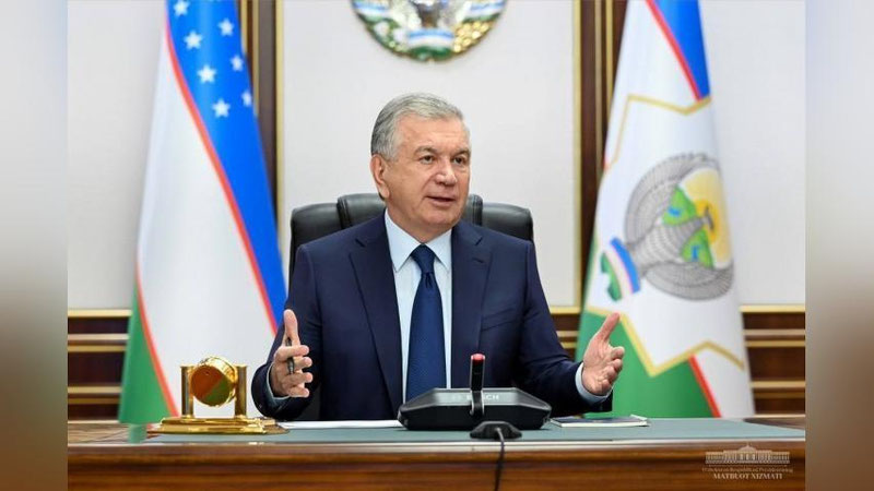 Изрображение 'Президент поручил внедрить новую систему развития лесного хозяйства'