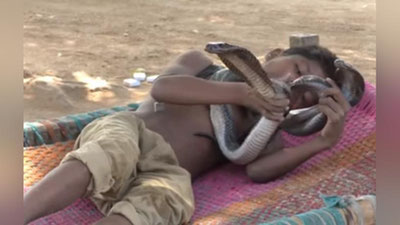 Изрображение 'ИНДИЙСКИЙ МАЛЬЧИК ДРУЖИТ С КОРОЛЕВСКИМИ КОБРАМИ (ВИДЕО)'