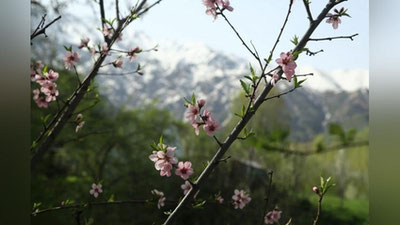 'Дам олиш куни чақмоқ чақиб, ёмғир ёғади'ning rasmi