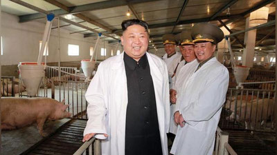 '​Кулиб турган Ким Чен Ин чўчқалар орасида суратга тушди'ning rasmi