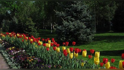 'Бугун Ўзбекистонда иссиқ об-ҳаво кузатилиши кутилмоқда'ning rasmi