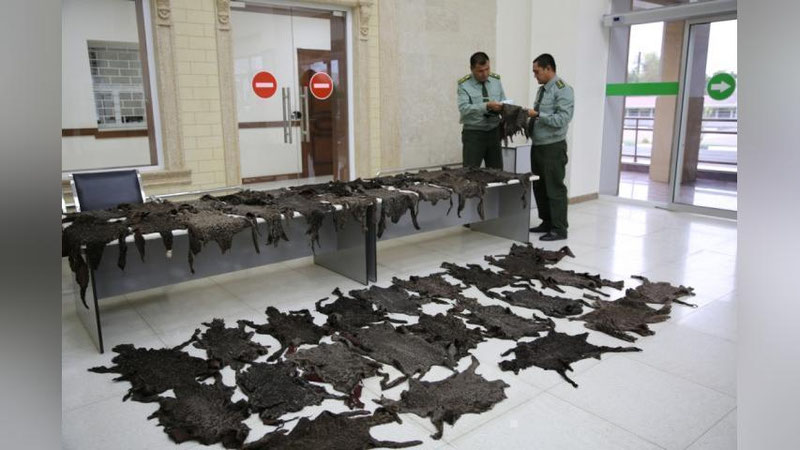 'QORAKO`L TERILARINI NOQONUNIY RAVIShDA OLIB ChIQIShGA URINGAN ShAXSLAR FAOLIYaTIGA ChEK QO`YILDI'ning rasmi