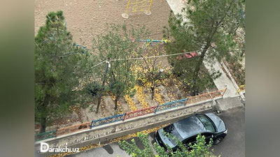 'Bugun O`zbekistonda harorat pasayib qator hududlarda yomg`ir yog`adi'ning rasmi