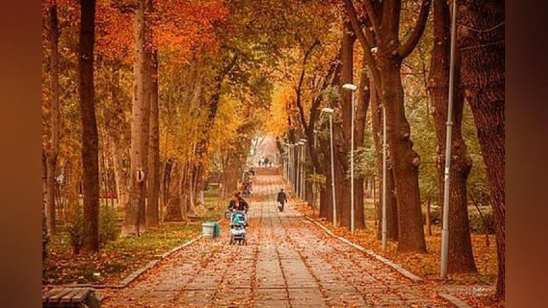 '​21 OKTYaBR UChUN OB-HAVO MA`LUMOTI'ning rasmi