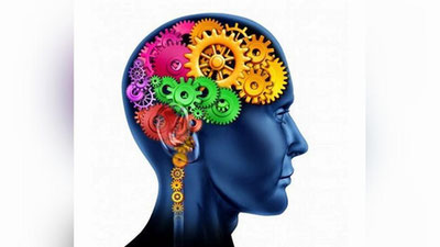 Изрображение 'УЧЕНЫЕ НАЗВАЛИ САМЫЙ ПОЛЕЗНЫЙ ДЛЯ МОЗГА ПРОДУКТ'