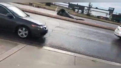 'Mashinani er yutdi (Video)'ning rasmi