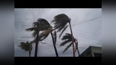 'Meksikaga Rosa nomli yangi to`fon yopirilmoqda'ning rasmi