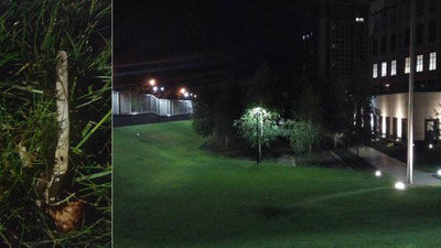 '​Киевдаги Америка элчихонаси ҳудуди портлади'ning rasmi