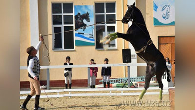 'Чавандозлар от билан рақс тушди (фото)'ning rasmi