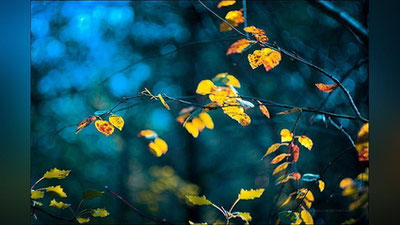 Изрображение 'ГДЕ В УЗБЕКИСТАНЕ 9 СЕНТЯБРЯ БУДЕТ ПРОХЛАДНЕЙ ВСЕГО?'