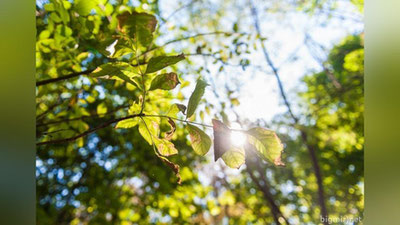 Изрображение 'НА НЕДЕЛЕ ЖИТЕЛИ УЗБЕКИСТАНА ОТДОХНУТ ОТ ИЗНУРИТЕЛЬНОЙ ЖАРЫ'