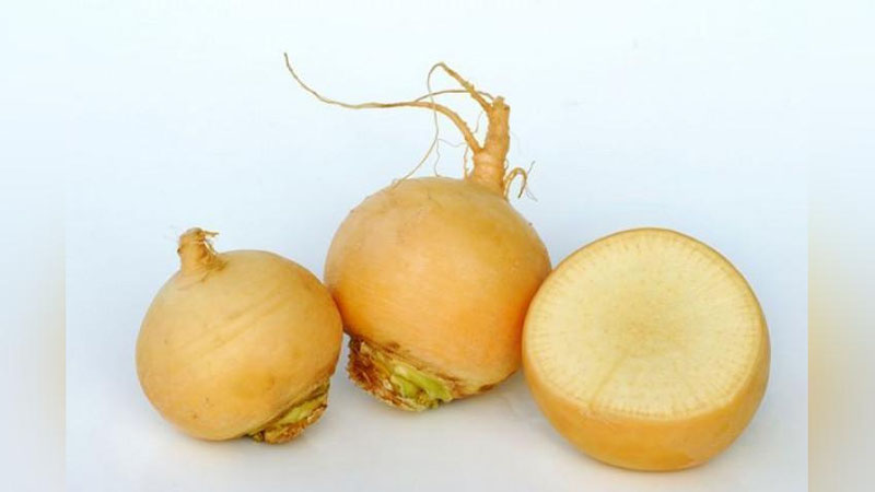 'YO`TAL, ShAMOLLASh, TISh OG`RIG`IDA FOYDALI ShOLG`OM'ning rasmi