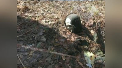 Изрображение 'МОСКОВСКИЙ ЭКСТРЕМАЛ, ПРОПАВШИЙ 2 ГОДА НАЗАД, ПОГИБ ЖУТКОЙ СМЕРТЬЮ (ВИДЕО)'