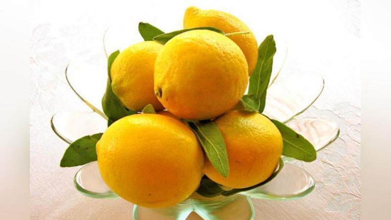 'Limonning siz bilmagan foydalari'ning rasmi